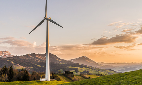 Conscience Environnementale