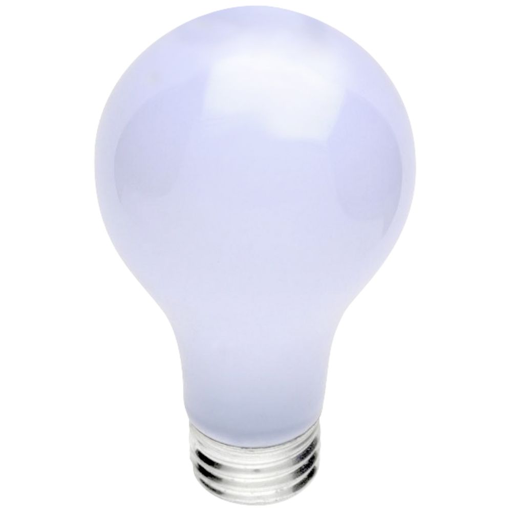 100 Watt Halogene Light Bulb