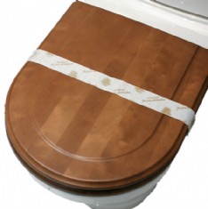 Paper Band For Identifying Clean Toilet Seats