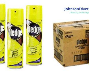 PLEDGE - Furniture/wood polish & protector, aerosol