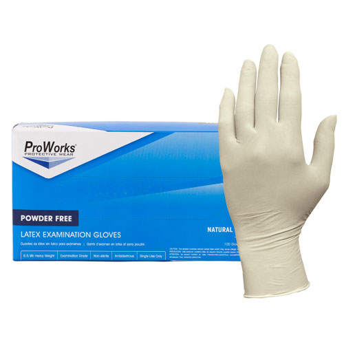 Disposable Latex Gloves (non-powdered) – Large